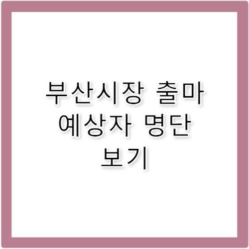 지방선거 부산시장 출마 예상자 명단 및 프로필