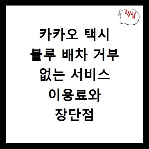 카카오 택시 블루 배차 거부 없는 서비스 이용료와 장단점 분석