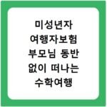 미성년자 여행자보험 부모님 동반 없이 떠나는 수학여행 필수품