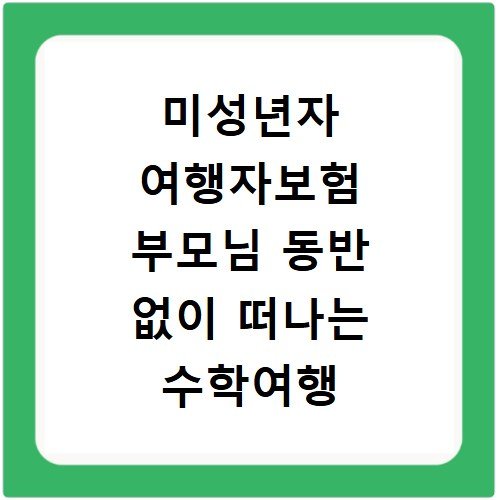 미성년자 여행자보험 부모님 동반 없이 떠나는 수학여행 필수품