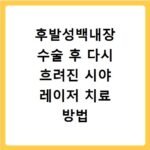후발성백내장 수술 후 다시 흐려진 시야 레이저 치료 방법