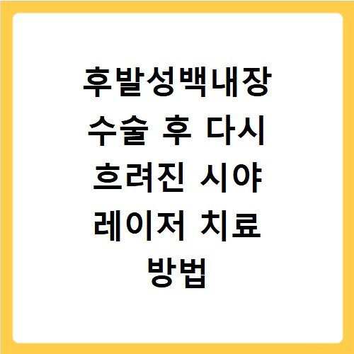 후발성백내장 수술 후 다시 흐려진 시야 레이저 치료 방법