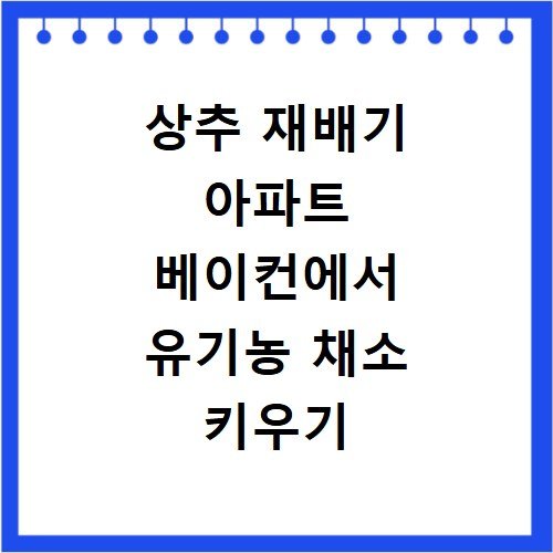상추 재배기 아파트 베이컨에서 유기농 채소 키우기