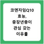 코엔자임Q10 효능, 중장년층이 관심 갖는 이유를 알아보세요