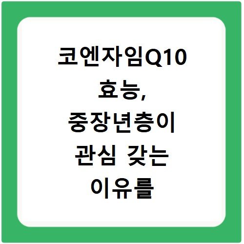 코엔자임Q10 효능, 중장년층이 관심 갖는 이유를 알아보세요